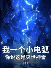 我一个小电弧,你说这是灭世神雷?