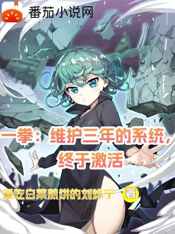 一拳:维护三年的系统,终于激活