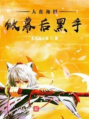 人在海贼,做幕后黑手